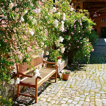 Wunderschoenes Mit Sauna Im Hofgut *