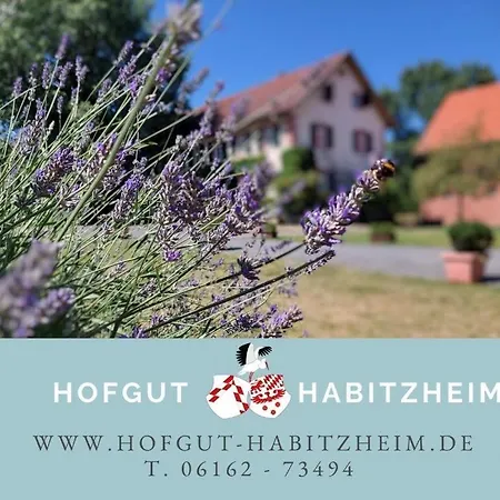 Wunderschoenes Mit Sauna Im Hofgut Habitzheim